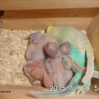 CIMG0967