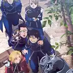 Fma 11