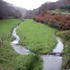 DSCN0980