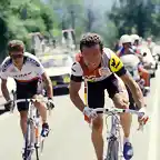 Perico-Tour1986-Pau-Hinault10b