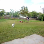 DSCN3341