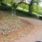 DSCN5947