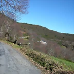 DSCN7995