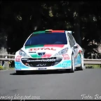 lunes IRC 183