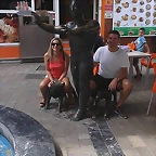 11986363_1489717271348743_6961194029991882907_n