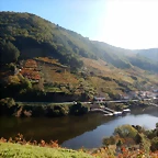 DSCN4522