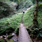 DSCN0910