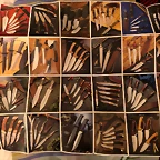Catalogomuela