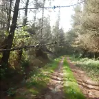 DSCN2081