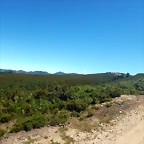 DSCN4626
