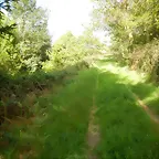 DSCN2086