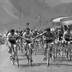 tour-de-france-1964