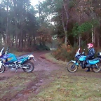 DSCN5082