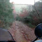 DSCN5090