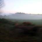 DSCN5100