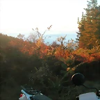 DSCN5088