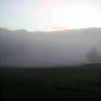 DSCN5097