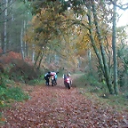 DSCN5094