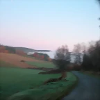 DSCN5104