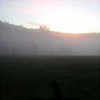 DSCN5099