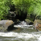 DSCN2785