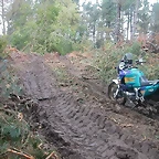 DSCN8452