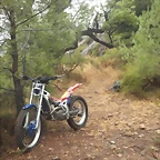 resized_trial 001