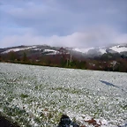 DSCN7467