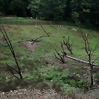CERZA 27-08-10 210