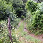 DSCN4765