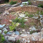 DSCN4223