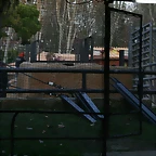 Zoo de Barcelona 24-11-10 604