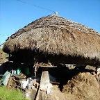 DSCN9576