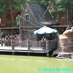 DSCF8600