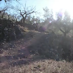mtb olocau 059
