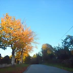 DSCN8974