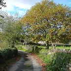 DSCN6398