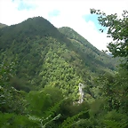 DSCN4305