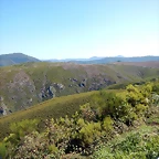 DSCN6991
