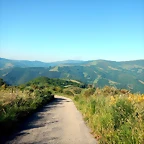 DSCN4730
