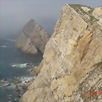 DSC05319