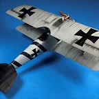 Pfalz F