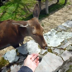 DSCN0622