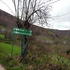 DSCN8964
