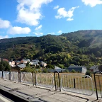 DSCN8592