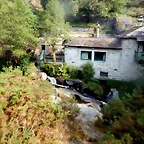 DSCN8475