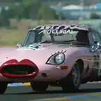 Jaguar Gay