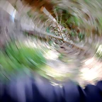 DSCN0044
