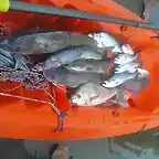 buena pesca