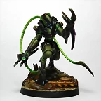 SAM_1665